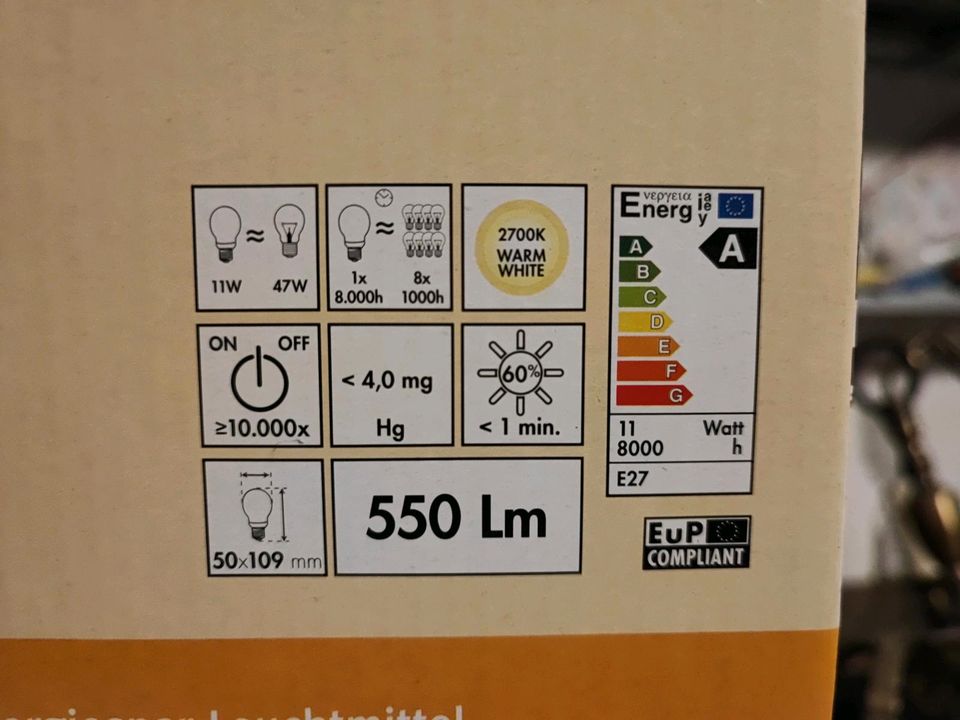 Außenleuchte Edelstahl inkl. Energiespar Leuchtmittel 11W in Bad Bellingen