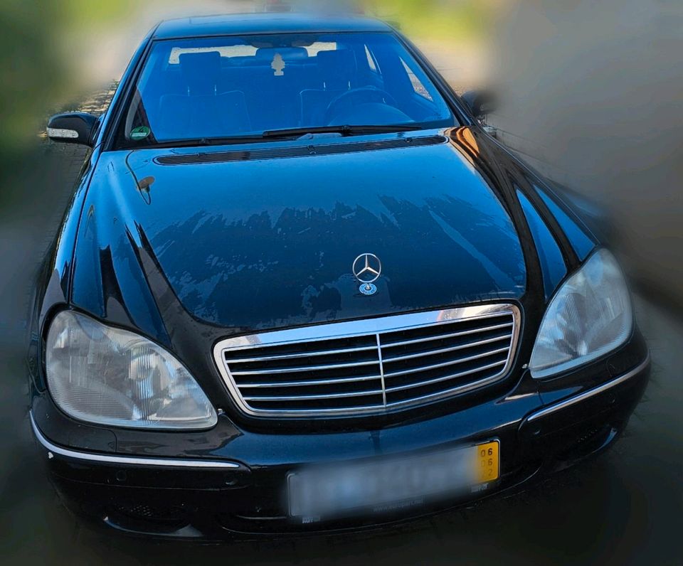 Mercedes-Benz S500 W220 M113 Obsidianschwarz Bastler in Auetal