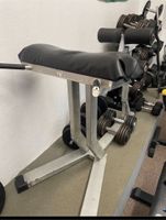 Hyperextension Rückenstrecker Dip Fitnessgerät Auflösung Gym Essen - Essen-Frintrop Vorschau