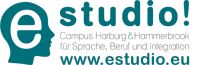 Berufssprachkurs B2 500 UE Online Mo-Do vormittags Start 05.08.24 Hamburg-Mitte - Hamburg St. Georg Vorschau