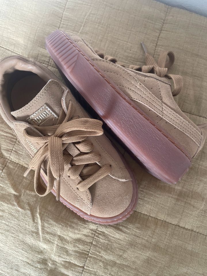 Puma Suede Wildleder 31 Neu inkl.Versand in Ansbach