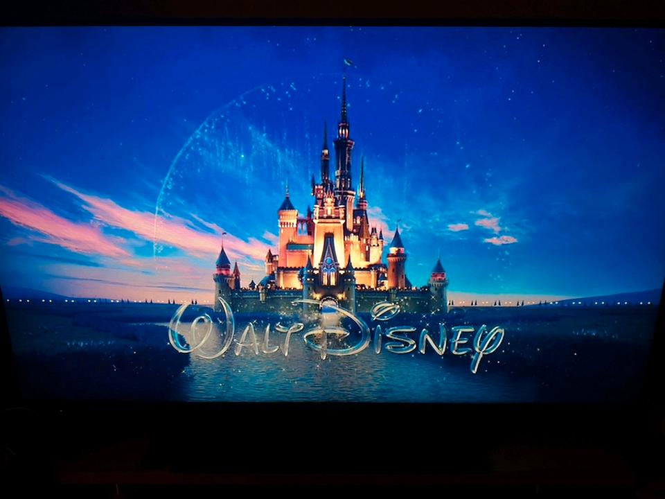 DVD Kinder Tinkerbell Besuche die Welt der Feen WaltDisney in Crimmitschau