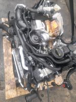 Motor  Audi  CWG  3,0tfsi  354ps  16tkm S4 S5   SQ5  komplett Mecklenburg-Vorpommern - Neubrandenburg Vorschau