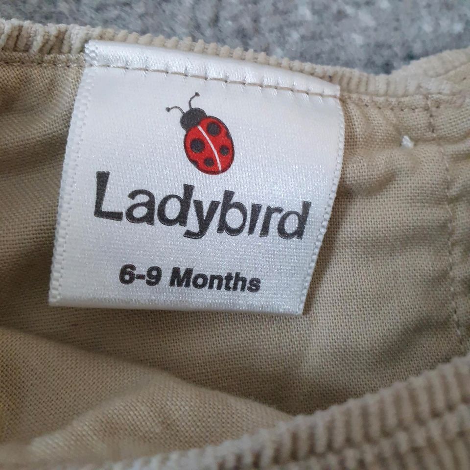 Kleid Kordkleid Größe 74 von Ladybird in Leipzig