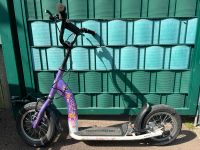 Roller Bikestar 12 Zoll Sachsen-Anhalt - Coswig (Anhalt) Vorschau