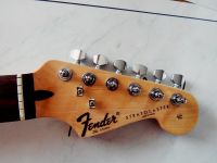 Fender/Squier Stratocaster Hals Bayern - Bayreuth Vorschau