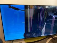 Samsung TV Display defekt Bremen - Vegesack Vorschau