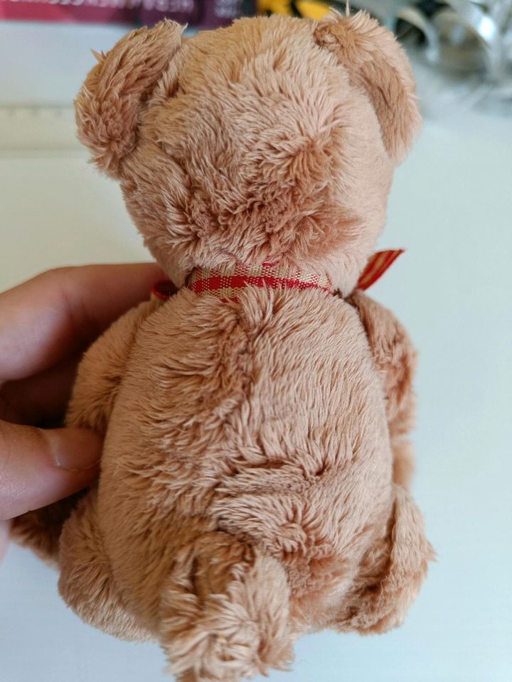 Sunkid Teddybär klein in Ibbenbüren