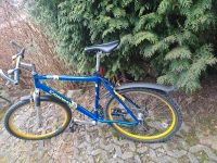 26 Zoll Fahrrad Conway Mountainbike 21 Gang Shimano Schaltung Sachsen - Neusalza-Spremberg Vorschau