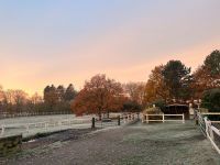 Urlaub auf dem Pferdehof Wohnmobil Urlaub mit Pferd Reiterferien Schleswig-Holstein - Hochdonn Vorschau