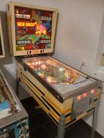 Gottlieb EM Flipper Pinball Hot Shots restauriert Baden-Württemberg - Haslach im Kinzigtal Vorschau