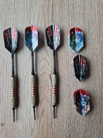 3 Darts / Set Darts E-Darts mit Gesamtgewicht 54 gramm Rheinland-Pfalz - Kaiserslautern Vorschau