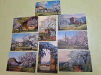 Ansichtskarten, 10 St., alt,sammeln, Obstblüte in Tirol Bayern - Kolbermoor Vorschau