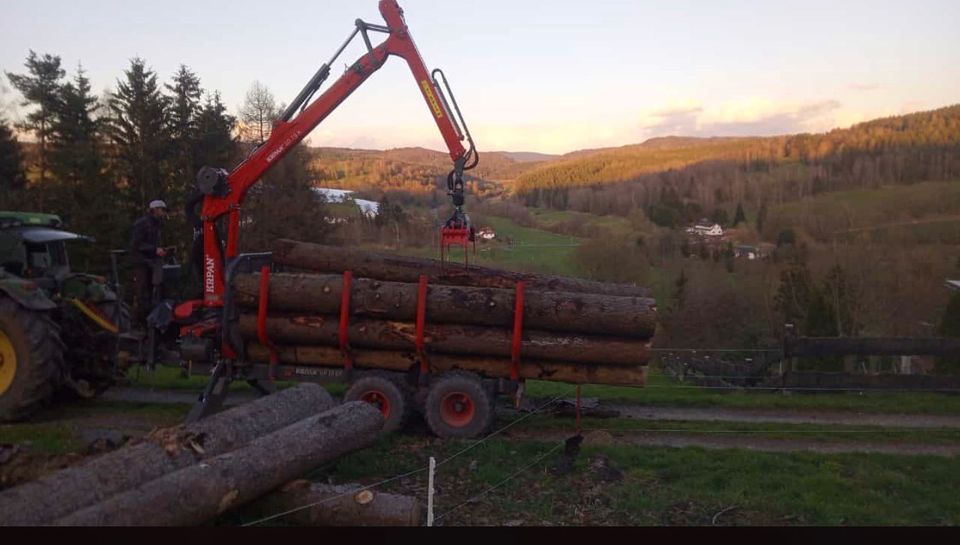 Holztransport mit Rückewagen und Traktor in Steinbach-Hallenberg (Thüringer W)