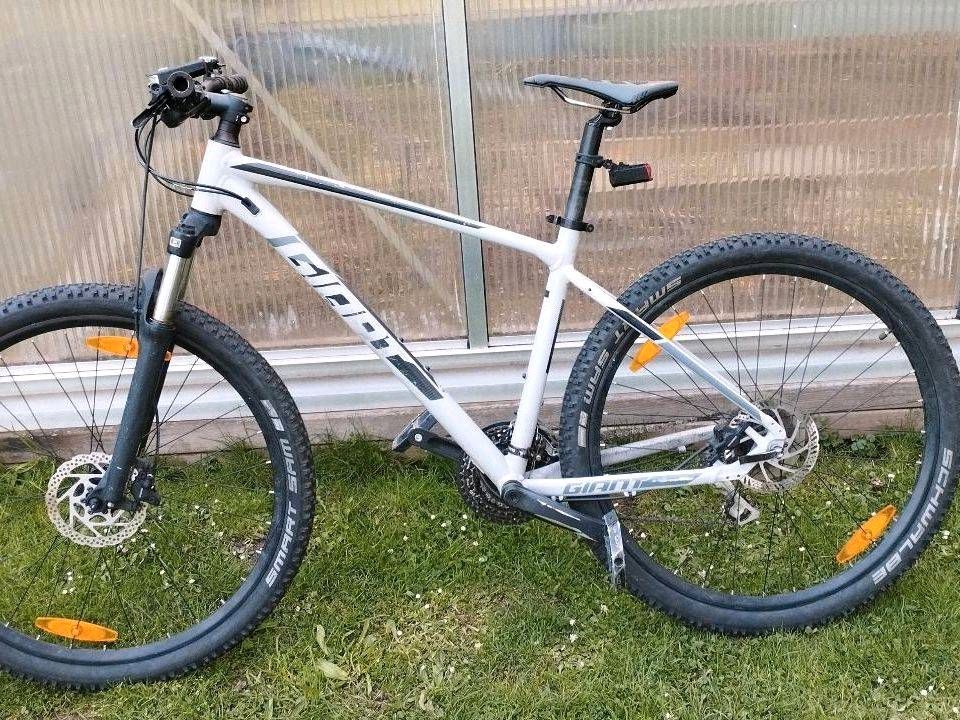 Mountainbike zu verkaufen in Neuwied