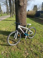 Mountainbike Scott 26 Zoll Nordrhein-Westfalen - Olfen Vorschau