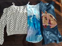 Kleiderpaket Kleider Paket Bluse T-Shirt gr.170/176 Saarland - Homburg Vorschau