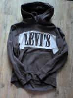 Levis Hoodie Größe S Niedersachsen - Garbsen Vorschau