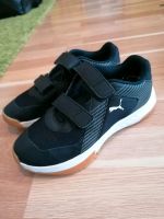 Turnschuhe Hallenschuhe Puma Gr. 37 Nordrhein-Westfalen - Witten Vorschau