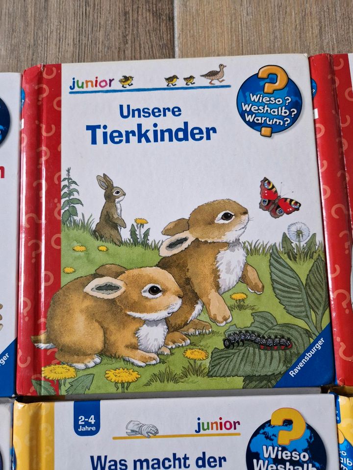 Ravensburger - Wieso Weshalb Warum junior 2-4 Jahre 5€ pro Buch in Tangstedt