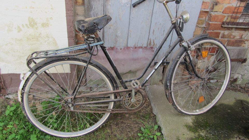 Hollandfahrrad DEKO Kneipenrad in Oderaue