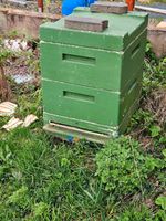 Bienenvolk auf Zander Rheinland-Pfalz - Thalfang Vorschau