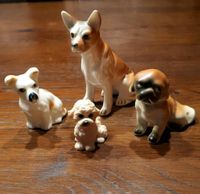 4 süße kleine Hunde, 3 cm bis 8 cm Niedersachsen - Wunstorf Vorschau