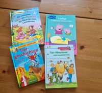 Kinderbücher zum Lesenlernen ( Preis für alle ) Brandenburg - Biesenthal Vorschau