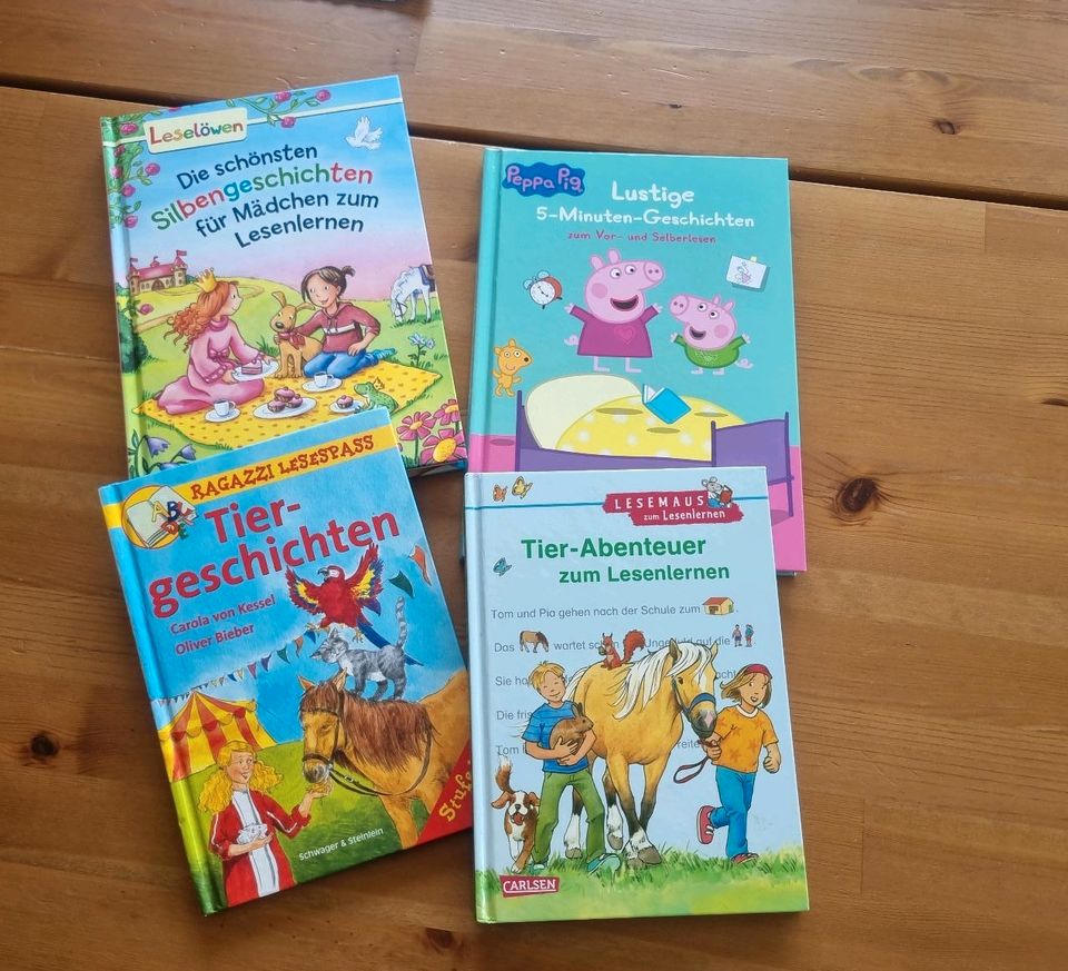 Kinderbücher zum Lesenlernen ( Preis für alle ) in Biesenthal