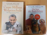 Bücher Hundeerziehung Cesar Millan Rheinland-Pfalz - Herdorf Vorschau