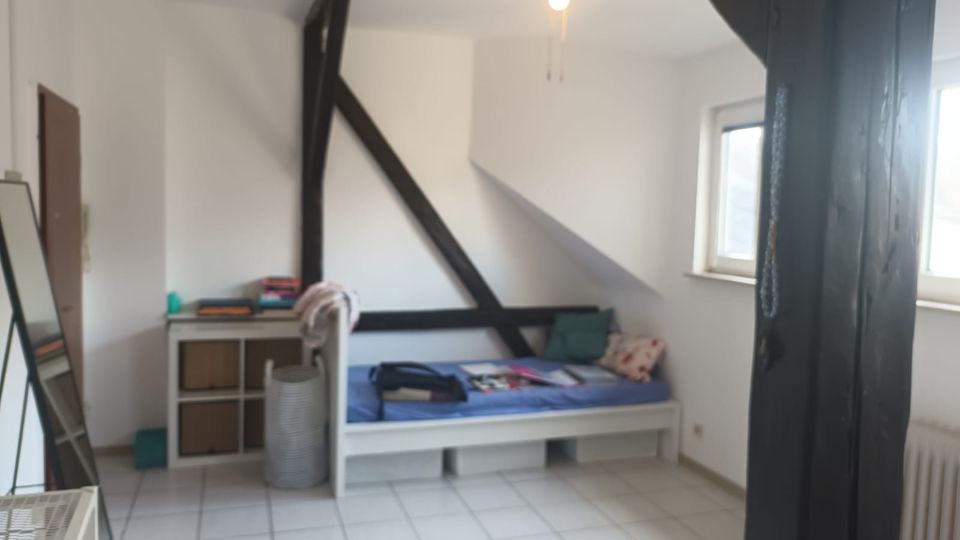 1-Zimmer-Wohnung in Geisenheim in Geisenheim