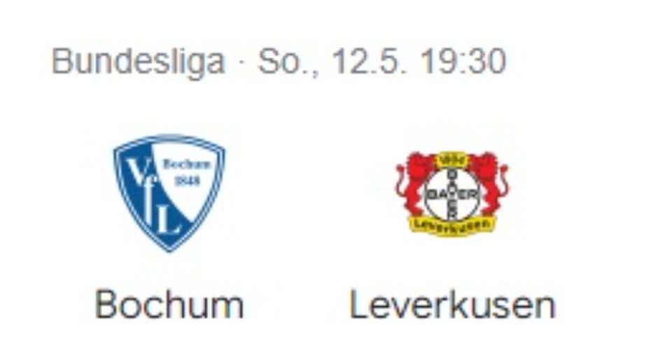 SUCHE 1-3 Karten für VfL Bochum - Bayer 04 Leverkusen in Bochum