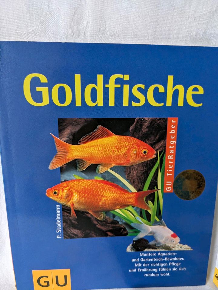 GU Goldfische Aquarienfische Tetra Meine ersten Aquarienfische in Augsburg