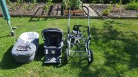 Emmaljunga Kinderwagen Rheinland-Pfalz - Mettenheim Rheinhessen Vorschau