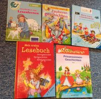 Geschichten zum Lesen lernen Leseanfänger Prinzessinnen Geschicht Niedersachsen - Melle Vorschau