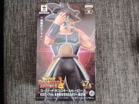 Dragonball Maskierte Saiyajin (Bardock) Figur Bremen - Schwachhausen Vorschau