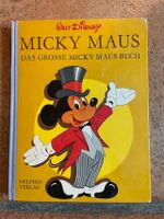 Micky Maus gebundes Walt Disney Buch Kr. München - Unterhaching Vorschau