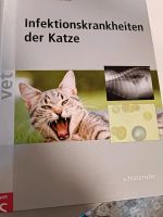 Infektionskrankheiten der Katze Bayern - Weitnau Vorschau