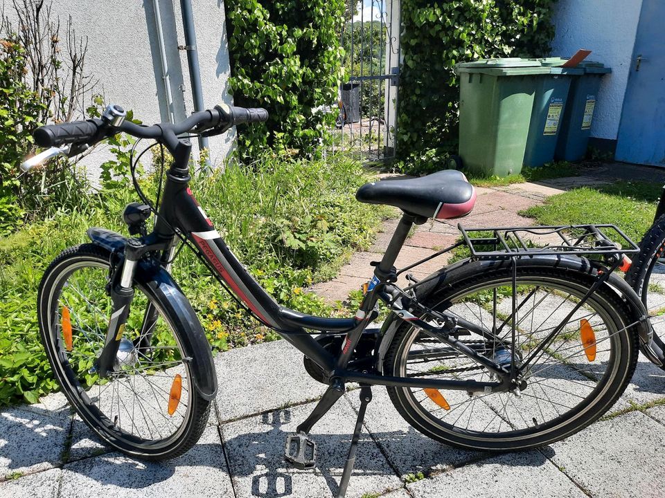 24 Zoll Jugendfahrrad Peugeot in Pfedelbach