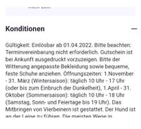 Gutschein Skischule Winterberg: Wert 375€ Borsdorf - Zweenfurth Vorschau