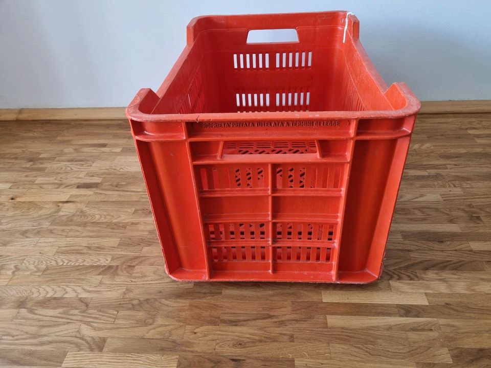 Obst & Gemüse-Kiste 53x35x31cm Transportbox Gartenbox Aufbewahrun in Frankfurt am Main