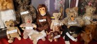 Alt und sehr alt. wunderschöne Teddybären und Stofftiere. Baden-Württemberg - Schwäbisch Hall Vorschau