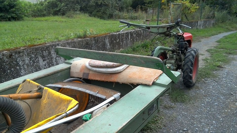 Irius Einachser mit Anhänger in Sinsheim