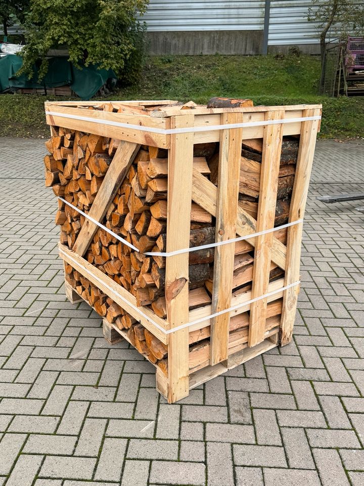 Kamin Brennholz 1 RM in Langenhagen