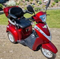 E-Scooter Elektromobil Niedersachsen - Papenburg Vorschau