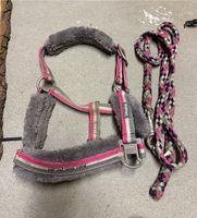 Eskadron PIi P2 Halfter Strick Set Shetty pink Grey Nordrhein-Westfalen - Velbert Vorschau