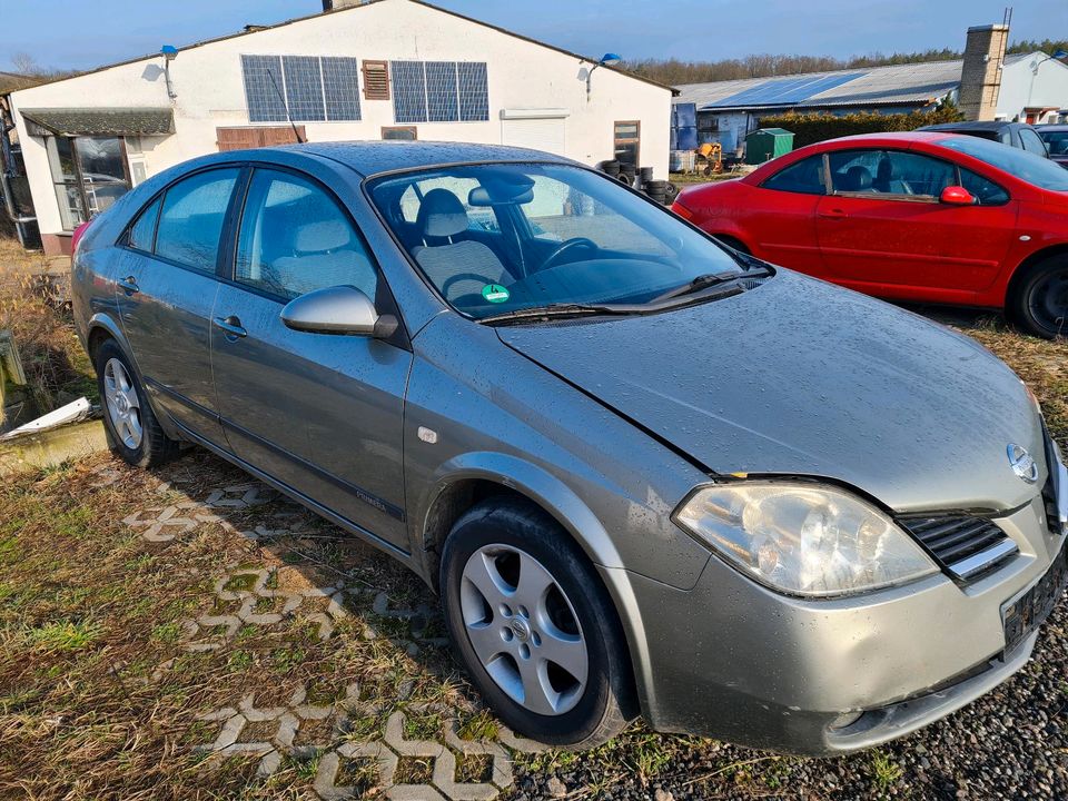 Teile für Nissan Primera P12 2.0i EZ 2005 in Steinhöfel