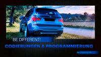 Softwareoptimierung, Chiptuning, DPF, AGR, Adblue, Codierungen, Navi Update, Software Update Baden-Württemberg - Gottmadingen Vorschau