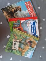 Dinosaurier Bücher 3x Hessen - Schwalmstadt Vorschau