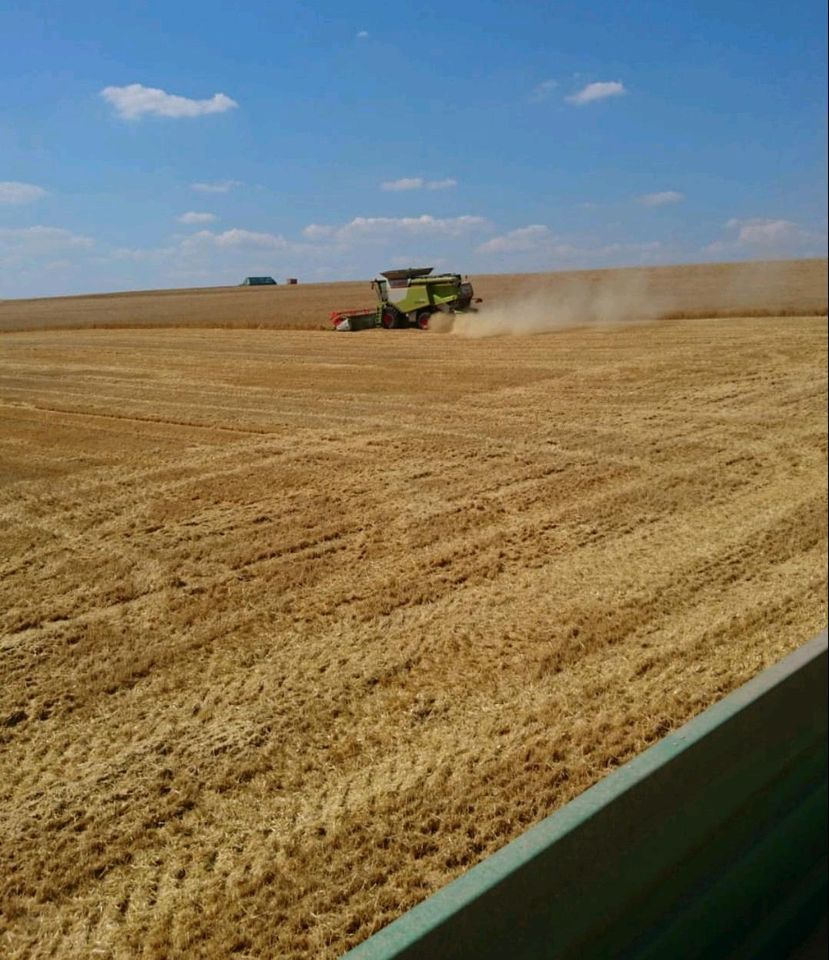 Ausbildungsplatz zum Landwirt (m/w/d) in Kitzingen